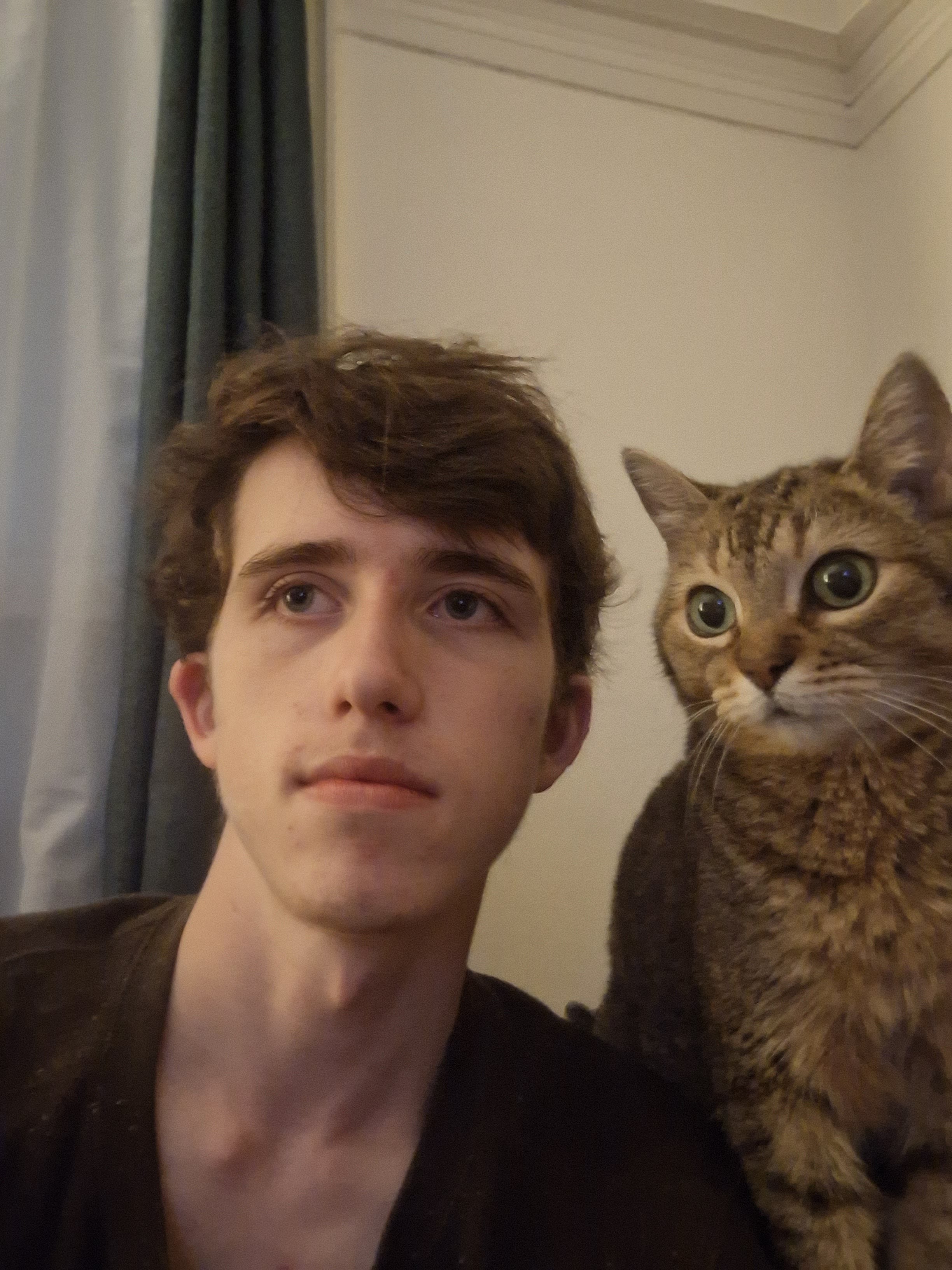 Gabe and Noodles on the couch